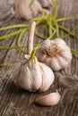 Fresh garlic with green germinal sprout on  wooden table Ã¢â¬â image Royalty Free Stock Photo